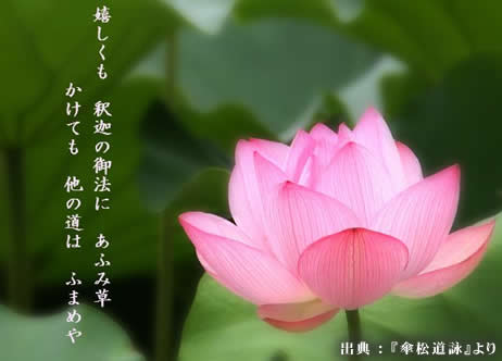 蓮
